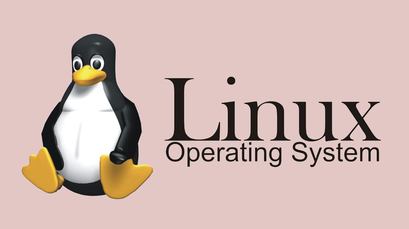 Apa Saja Tipe-tipe Dari Sistem Operasi Linux